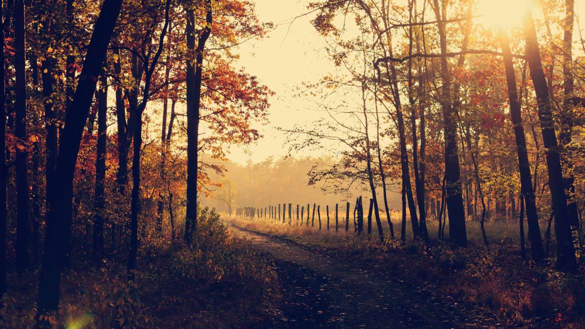 Herbstferien